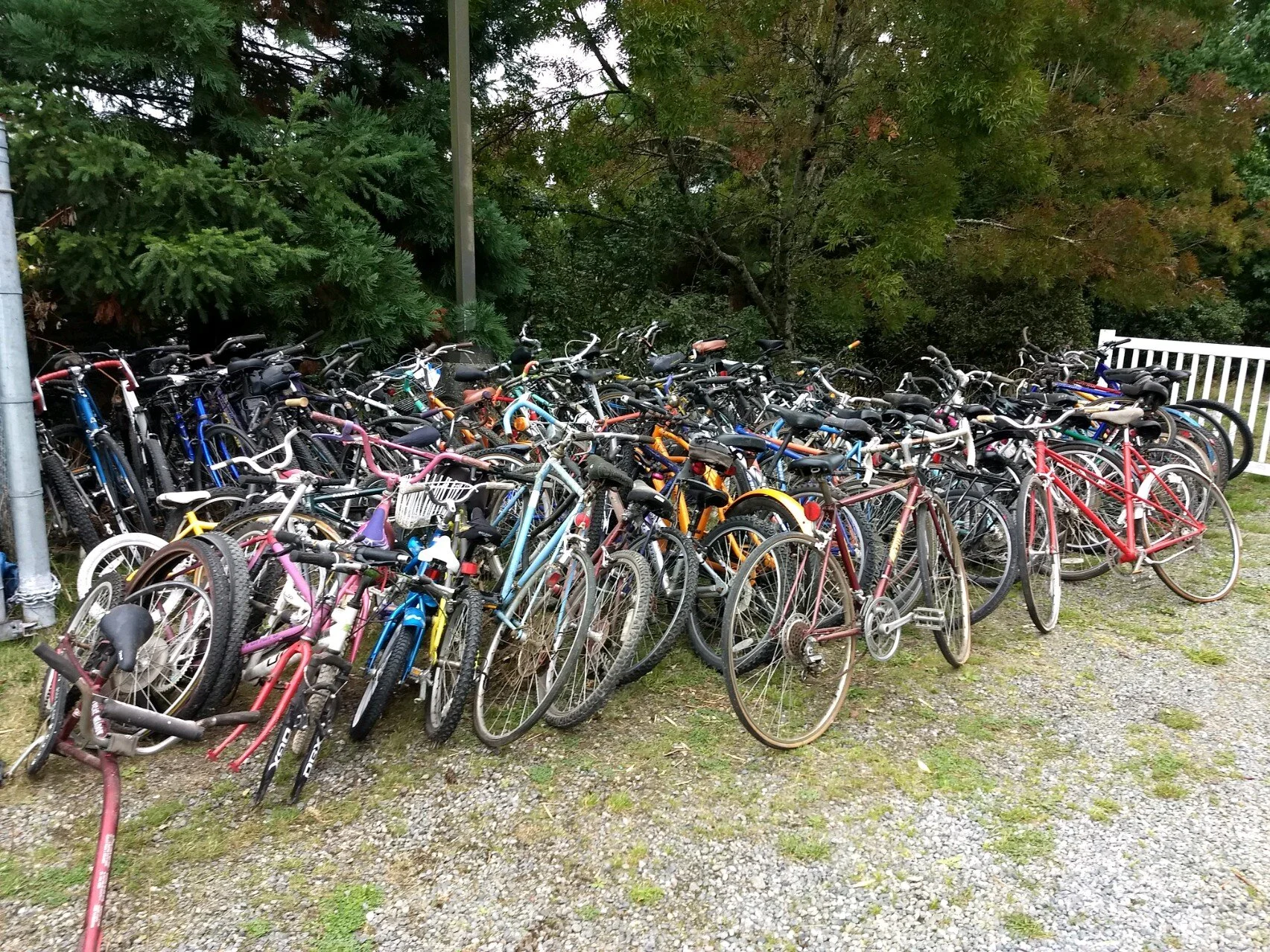 More Bike Works.jpg