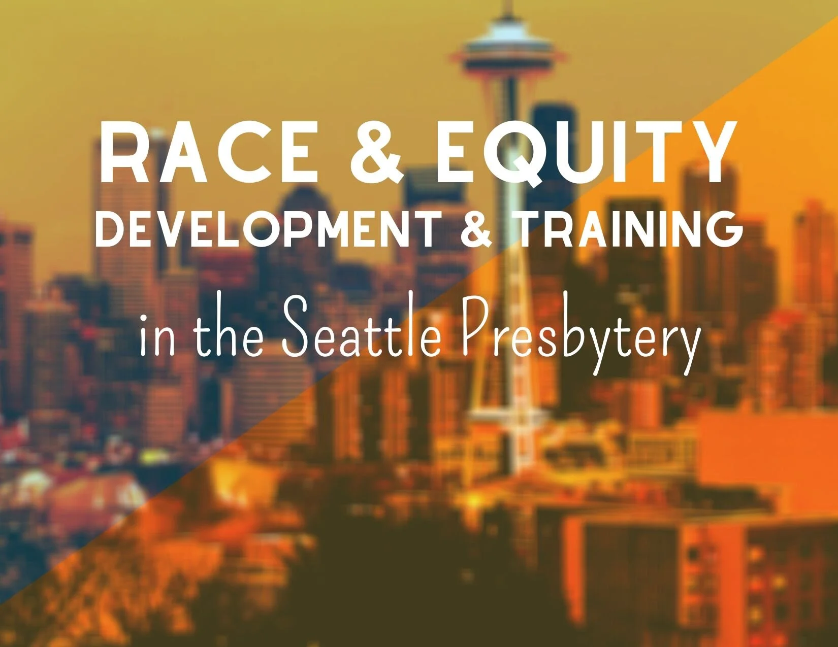 Race & Equity Development and Training