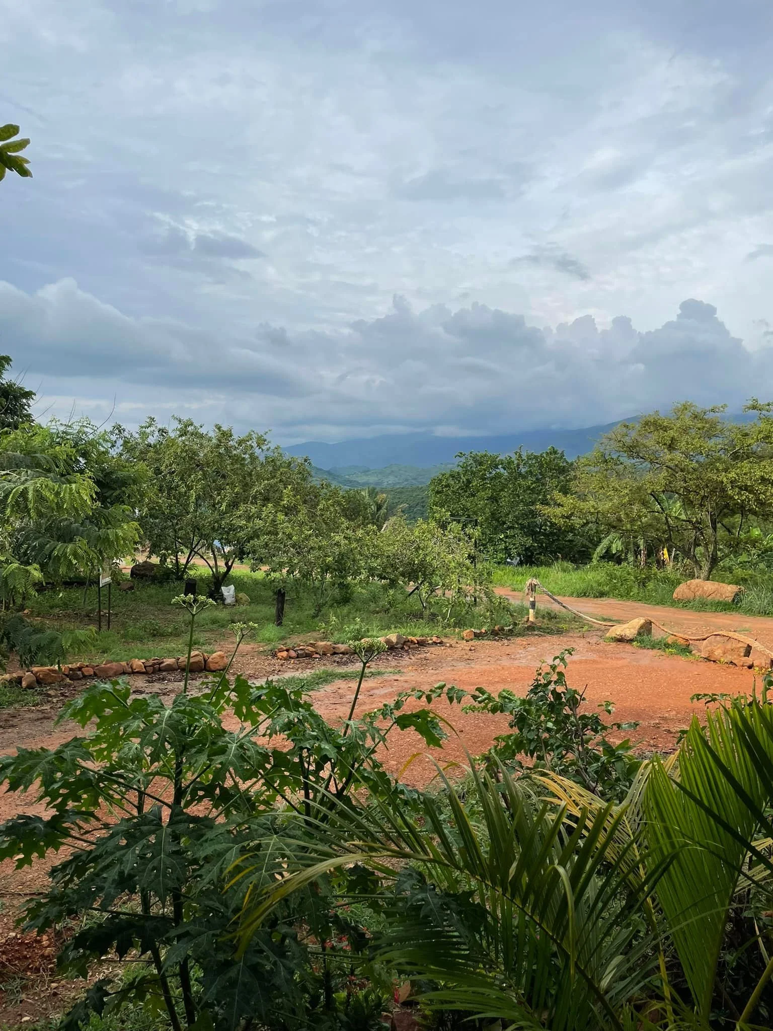 2024 Colombia Partnership Trip 