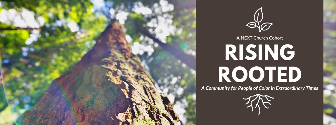Rising Rooted (NEXT Church cohort)