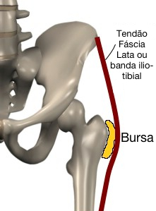 Representação da bursa em amarelo