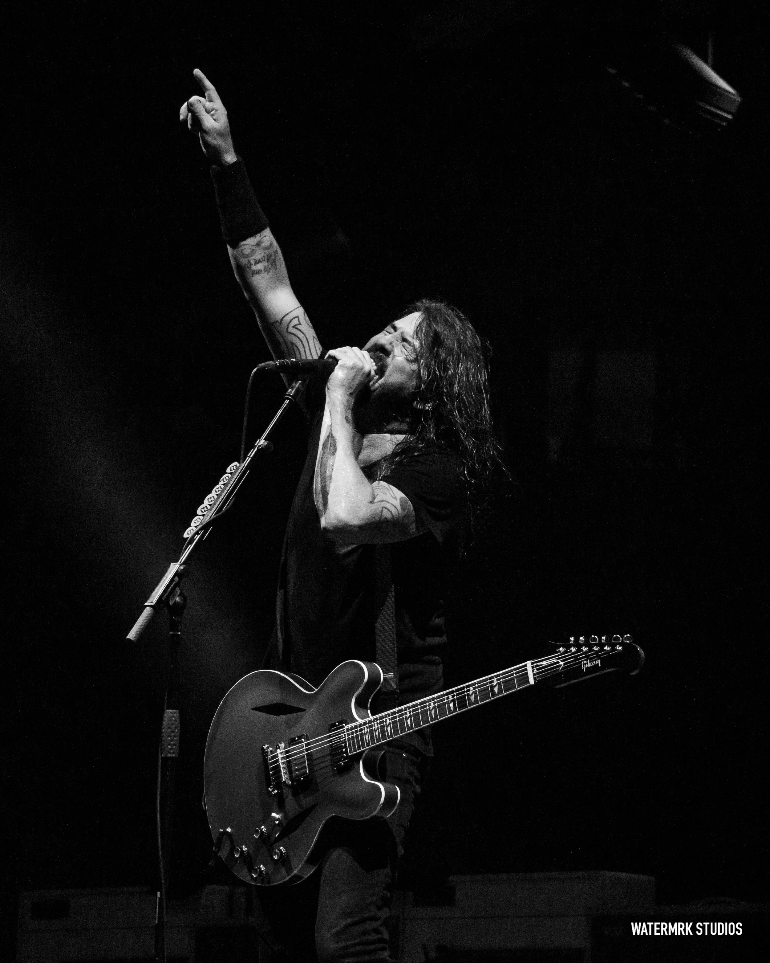 Foo Fighters by Michael Kravetsky DSC09937.jpg