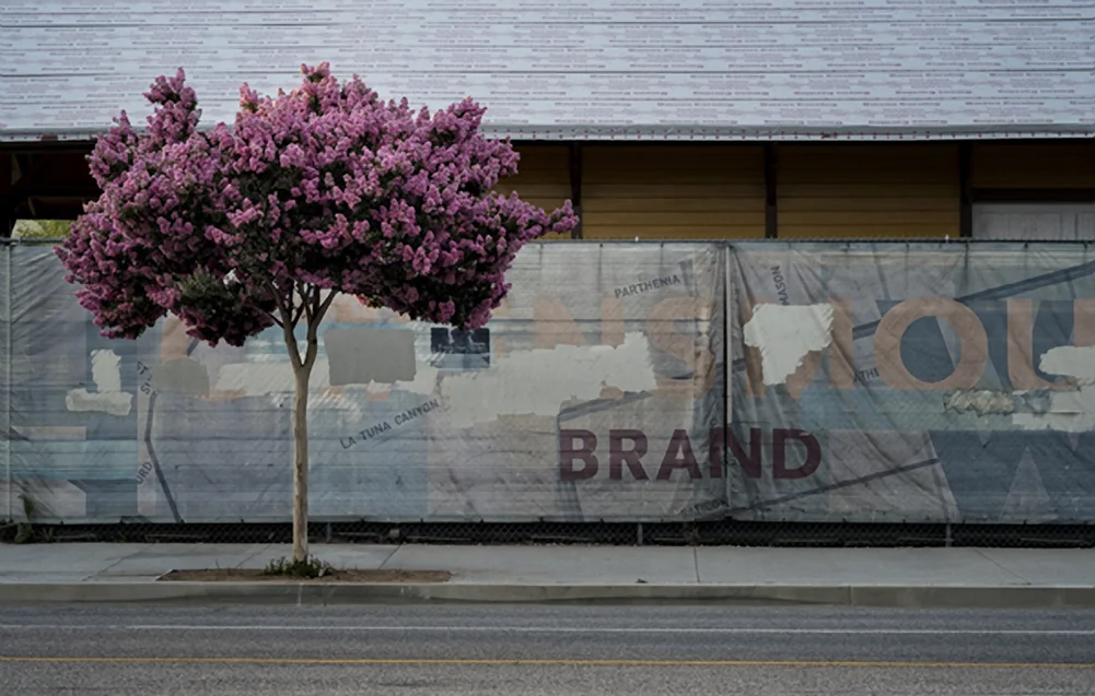 This is a scene I've returned to several times in the past weeks. In fact, I created a PANO of the scene here, on my Tumblr site . The image was made with the 60mm lens at 1/250s in full manual mode. I chose the 60mm lens so I didn't have to stand in traffic! 