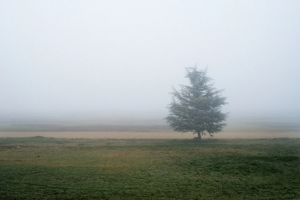 Transient