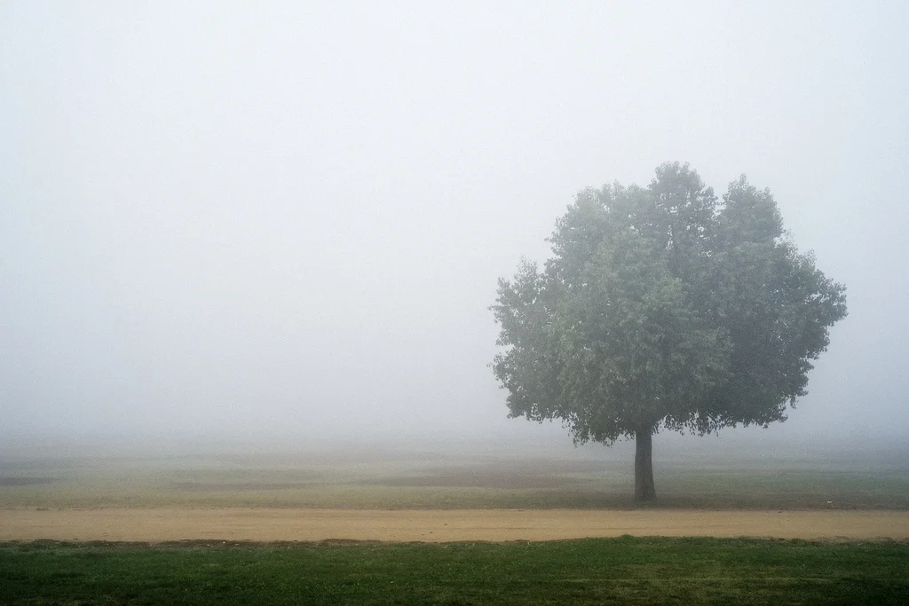 Transient