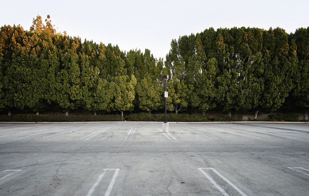 Taken early morning in an empty parking lot near my home (perhaps an edition to my on-going series, "Parking" )