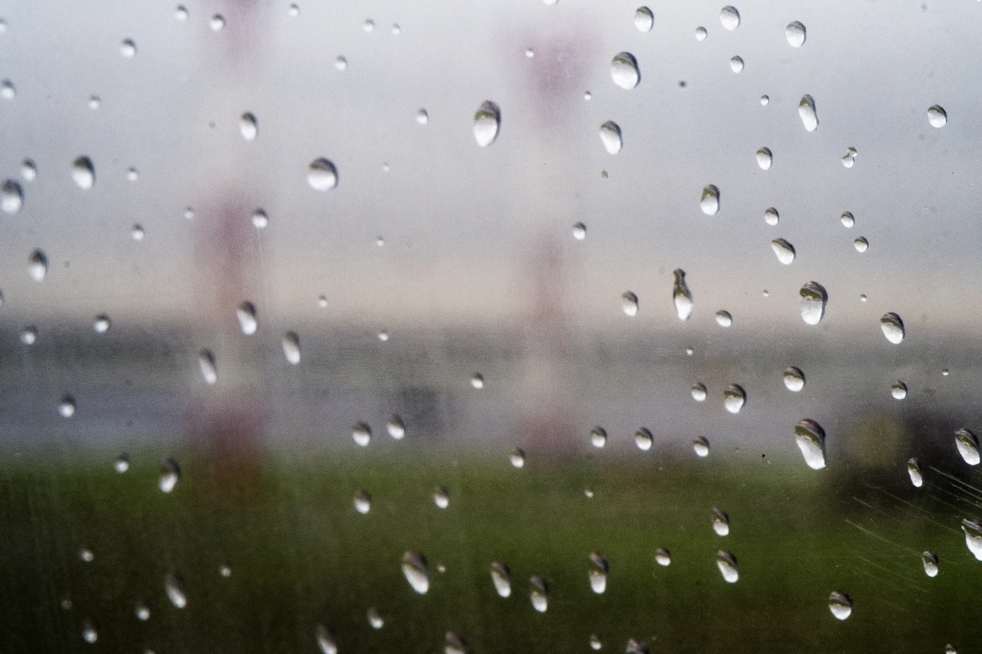 Through Window of Flight 407, #2