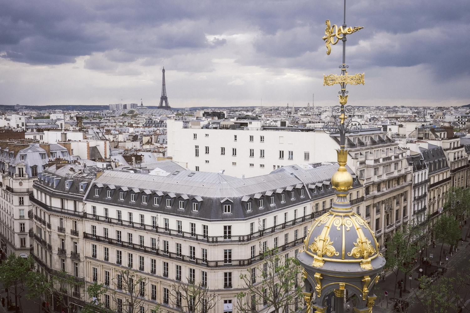 Paris_April 19, 2014-3_resize_resize.jpg