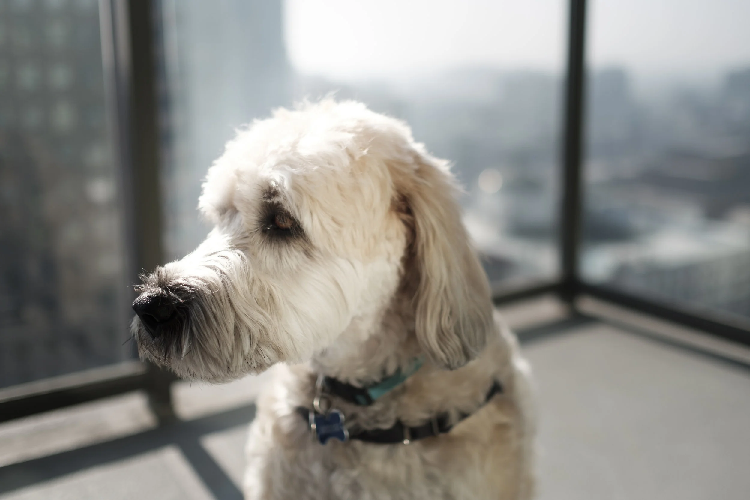 Bonus shot! Still love this camera and lens combination for candids. 23mm f/1.4, ISO 200, 1/750s