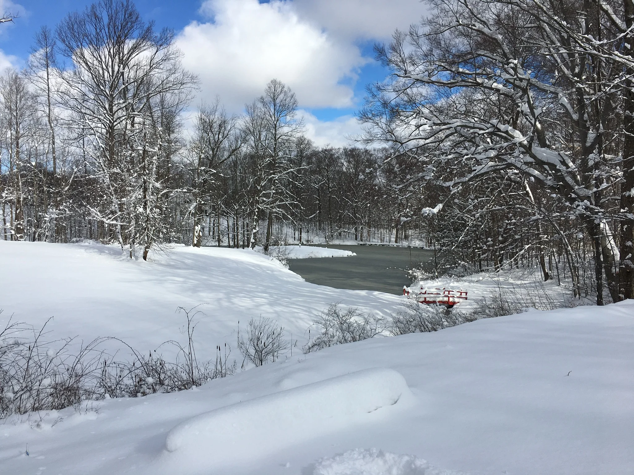 6 Acre Winter