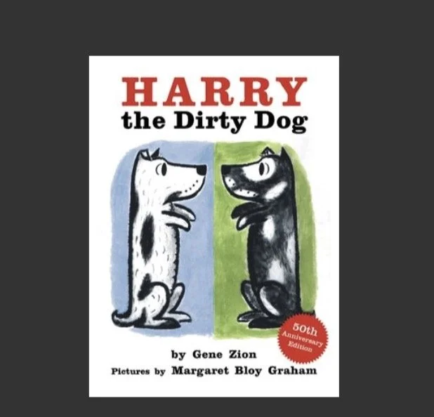 harry dirty dog book.jpg