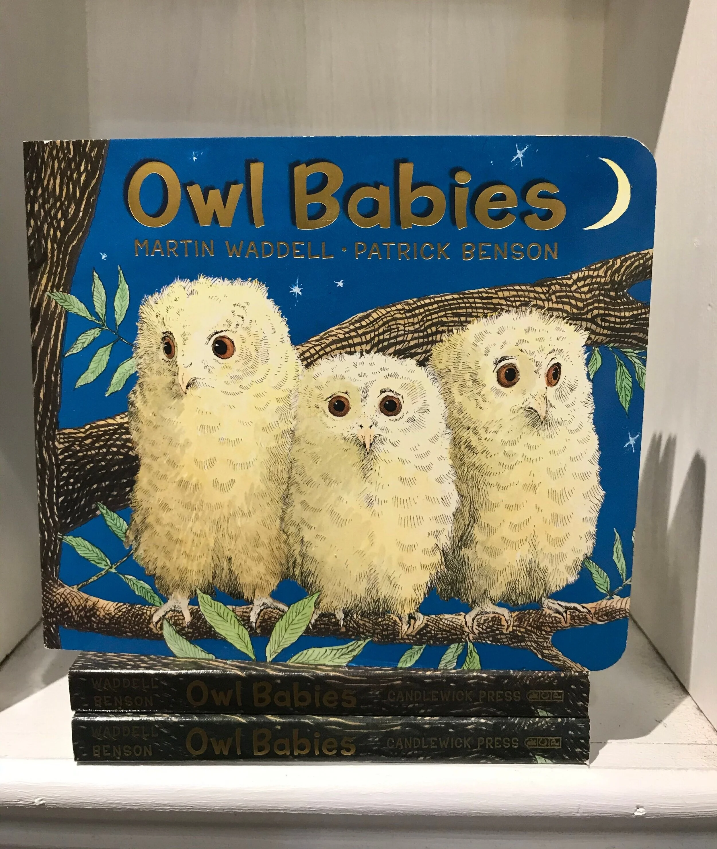 Owl babies hotsell board book