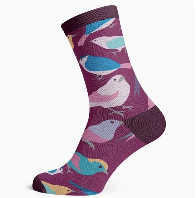 bird socks.jpg