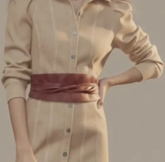 brown+tie+belt+waist+dress.jpg