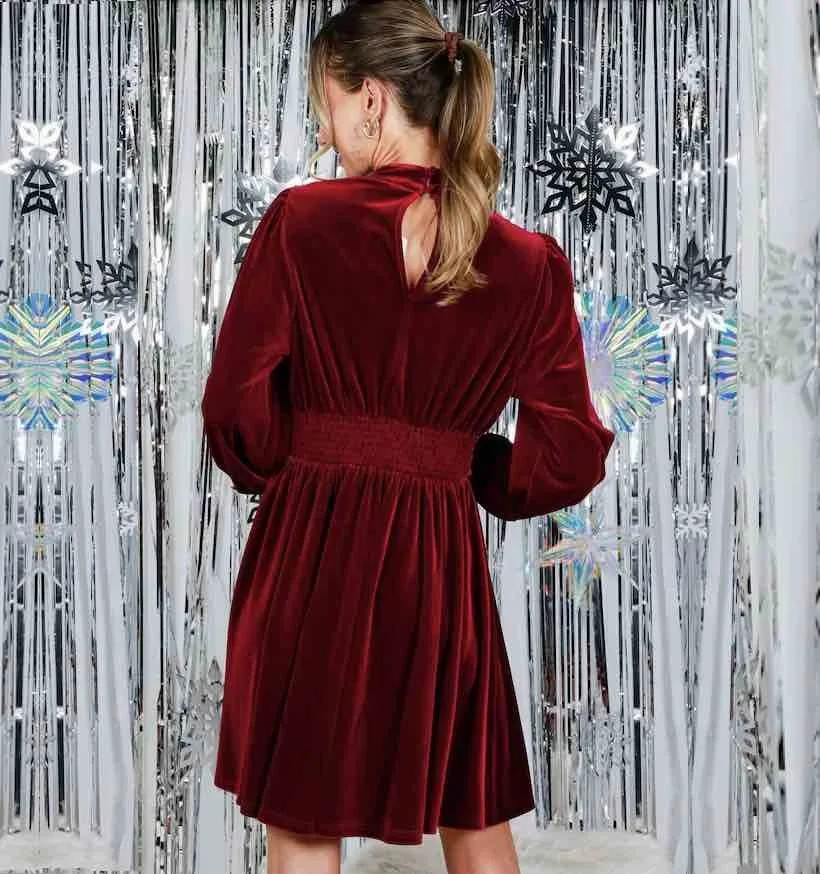 velvet dress back.jpg