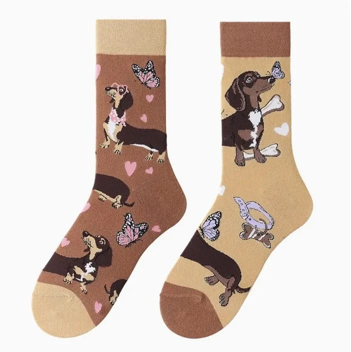 dachshund socks.jpg