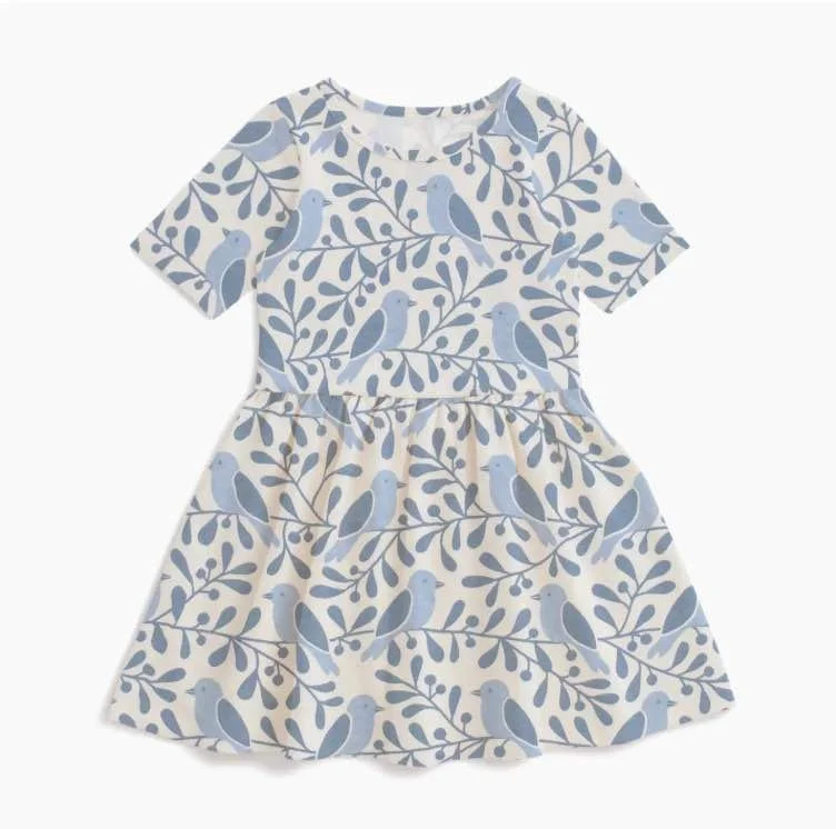 blue bird dress.jpg