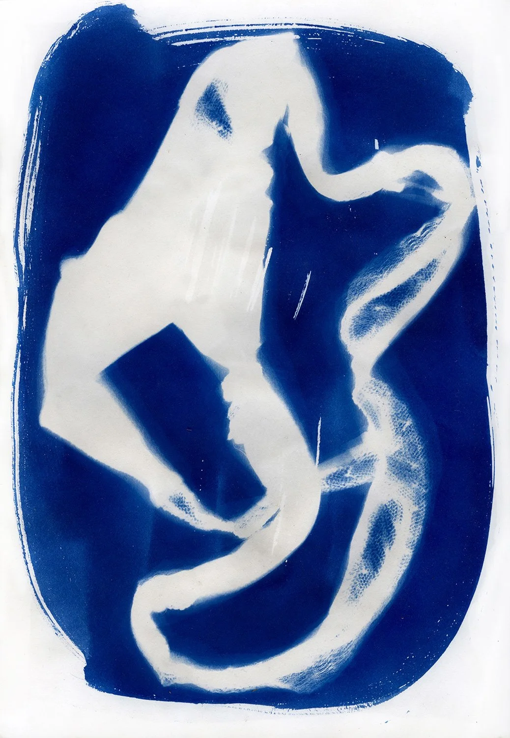 cyanotype3 copia.jpg