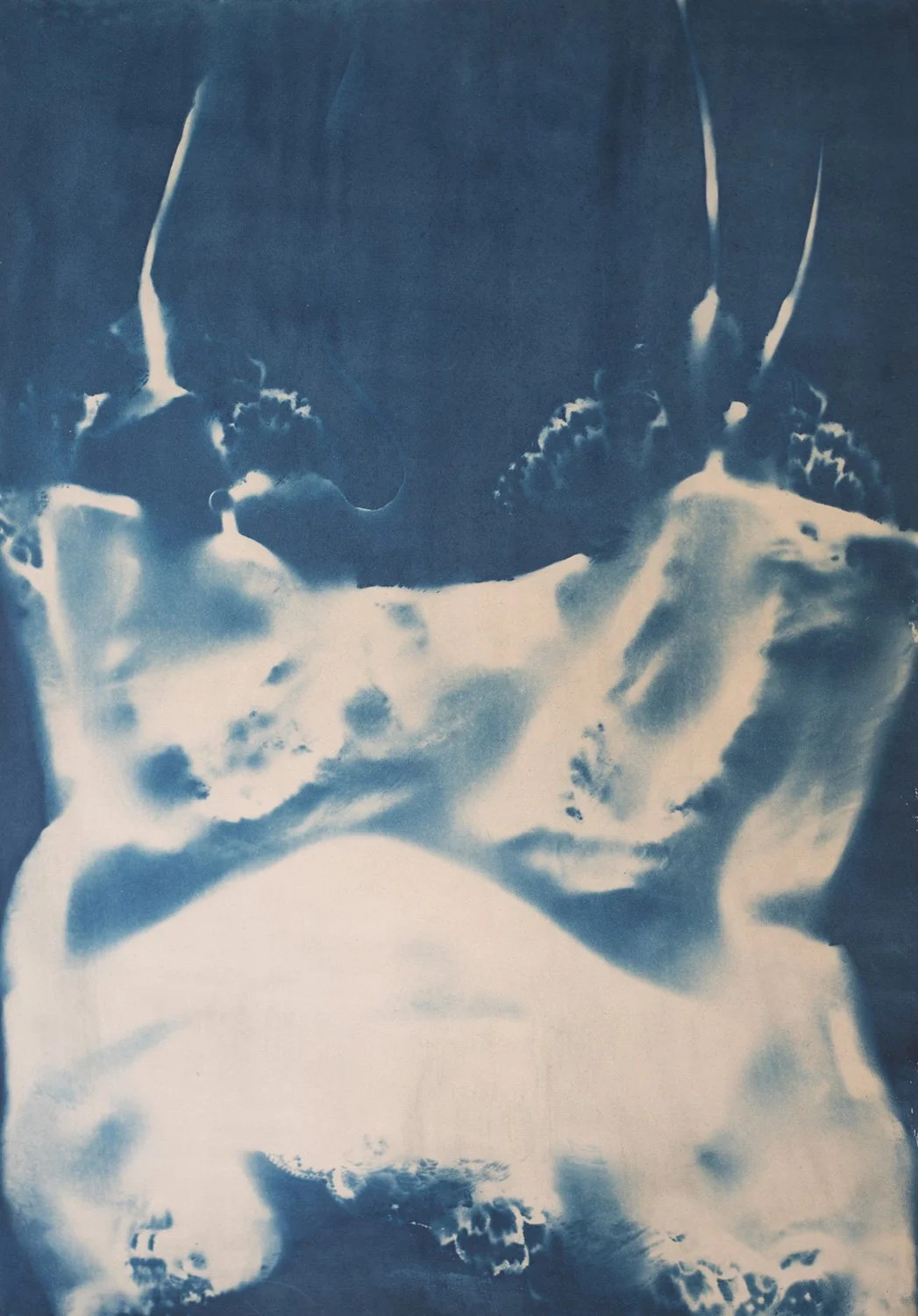 cyanotype18.jpg