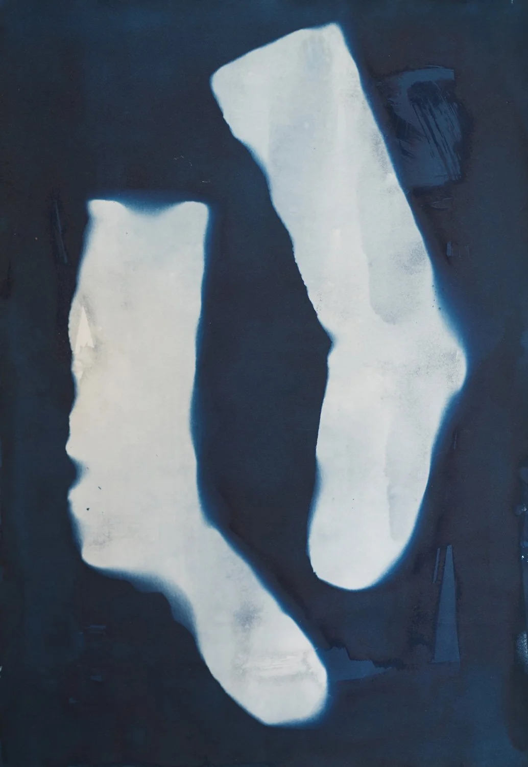 cyanotype21.jpg