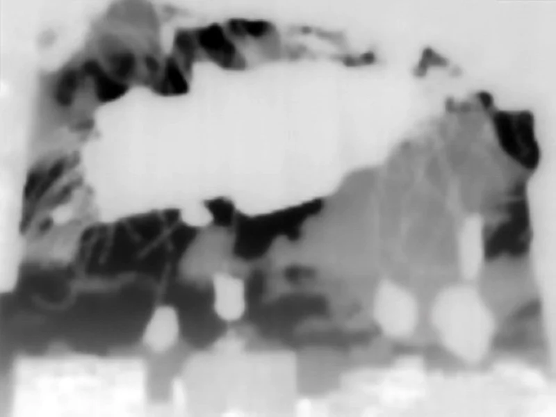 Infrared - 06.jpg