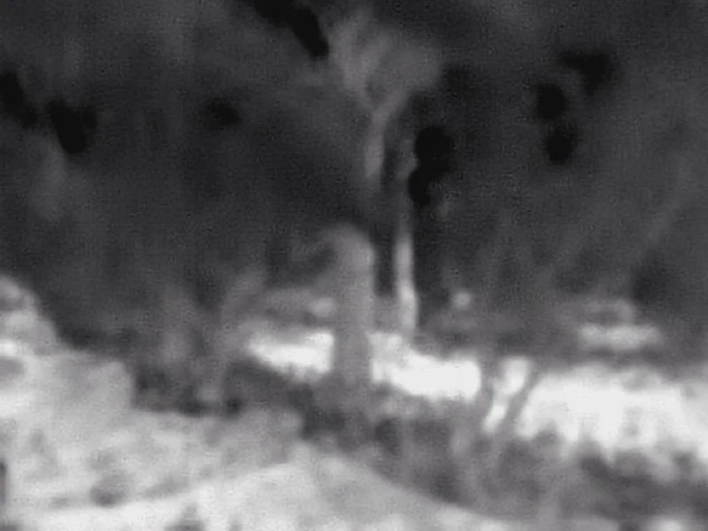 Infrared - 07.jpg