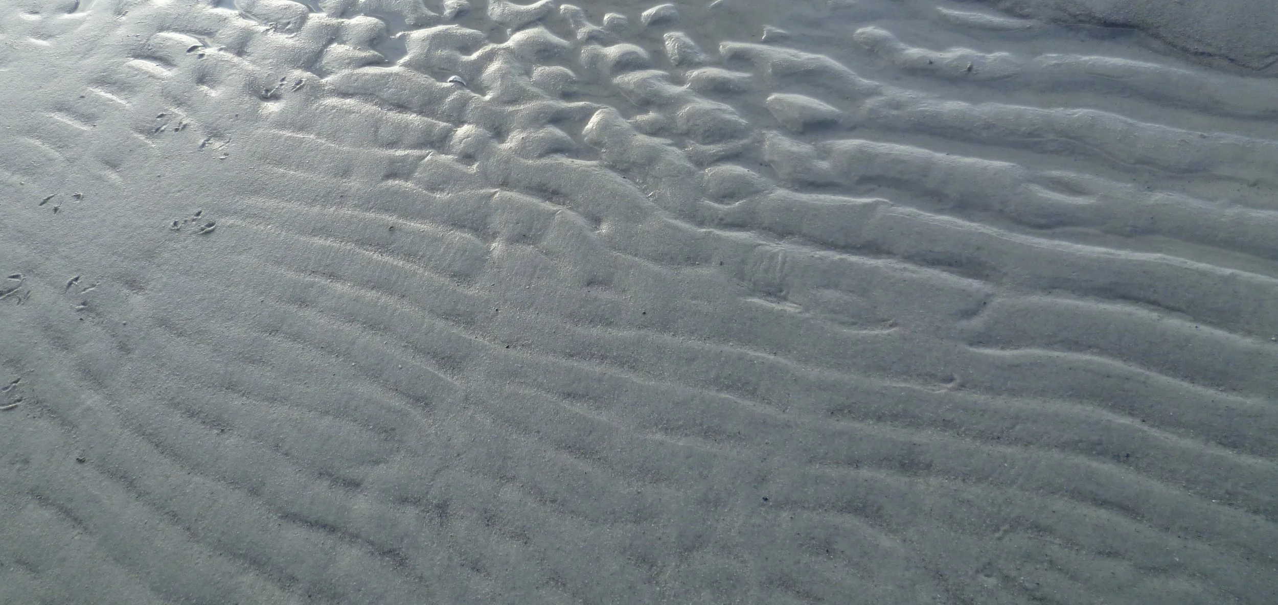 Gut bacteria and neurodegeneration