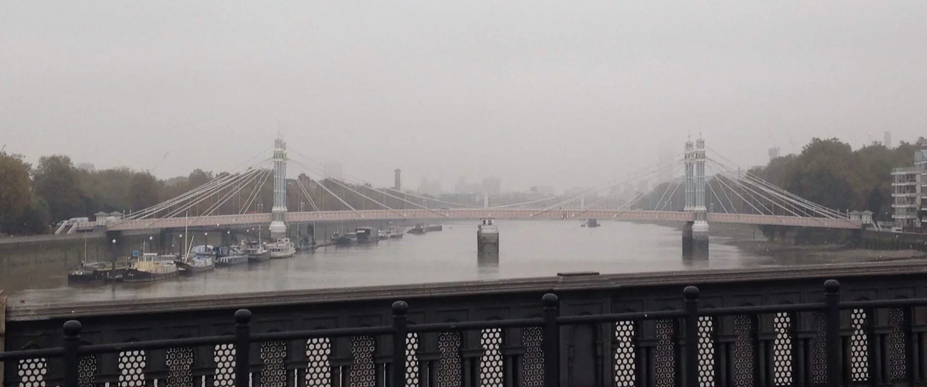 Air pollution and dementia 