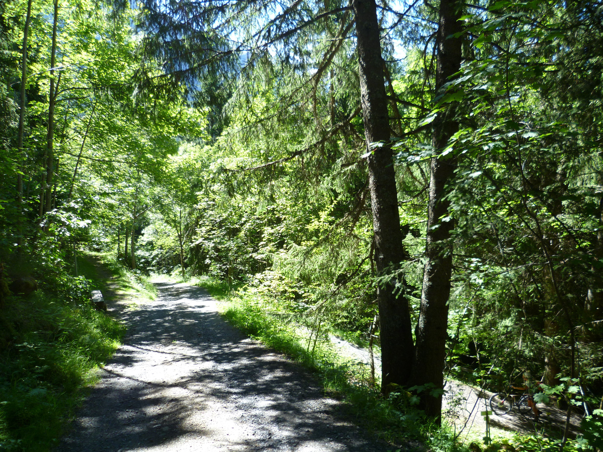 Vitamin D3 may heal and prevent cardiovascular damage 