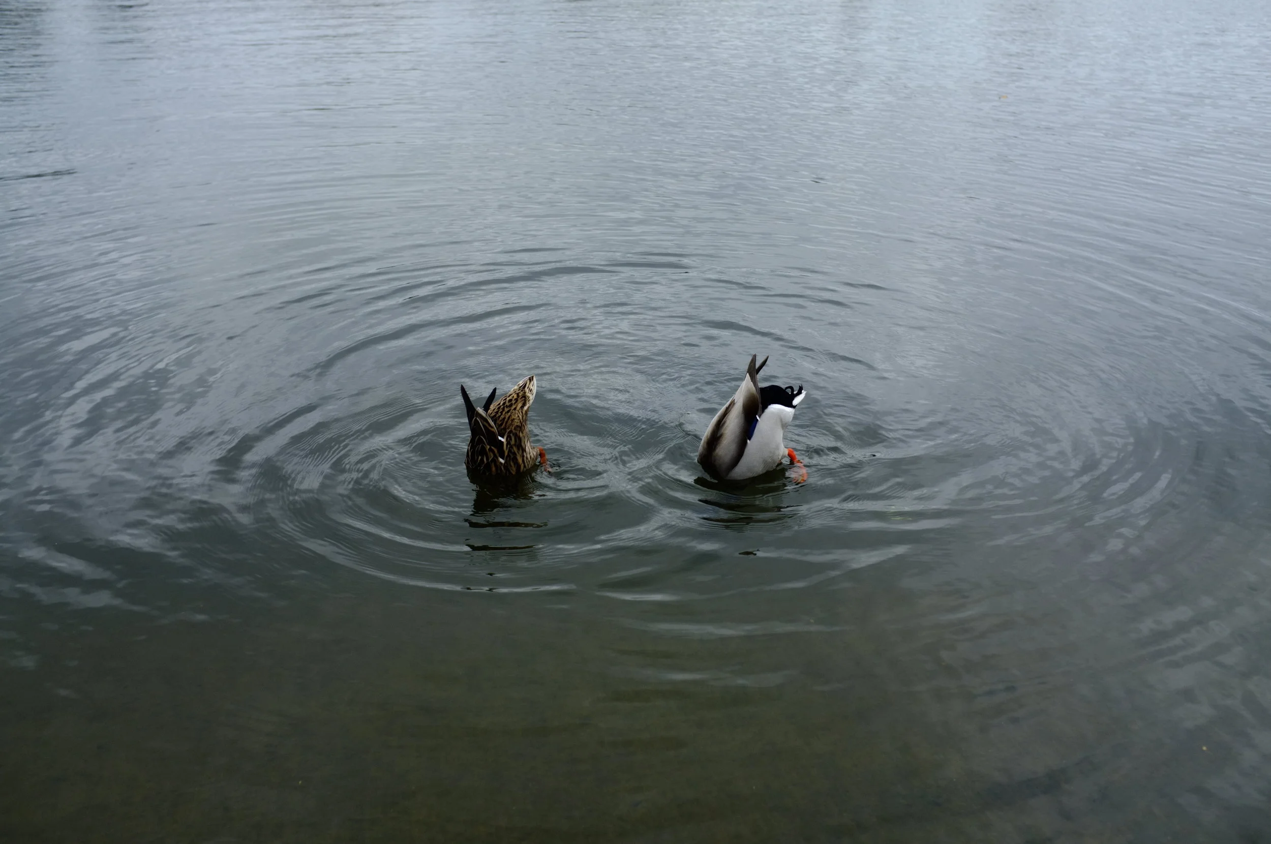 Keep moving to feel happy