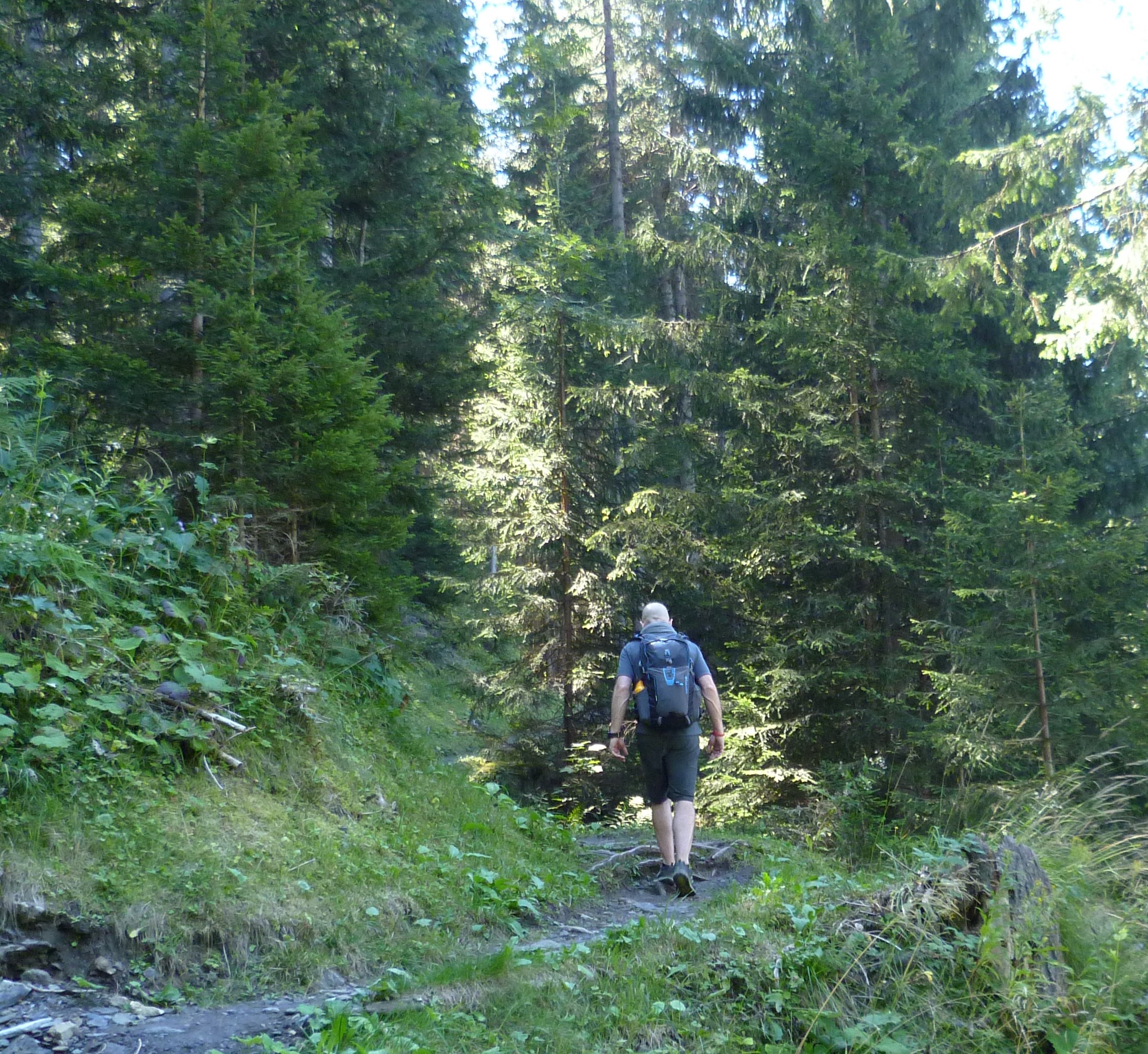 Becoming more physically active after a heart attack will help you live longer