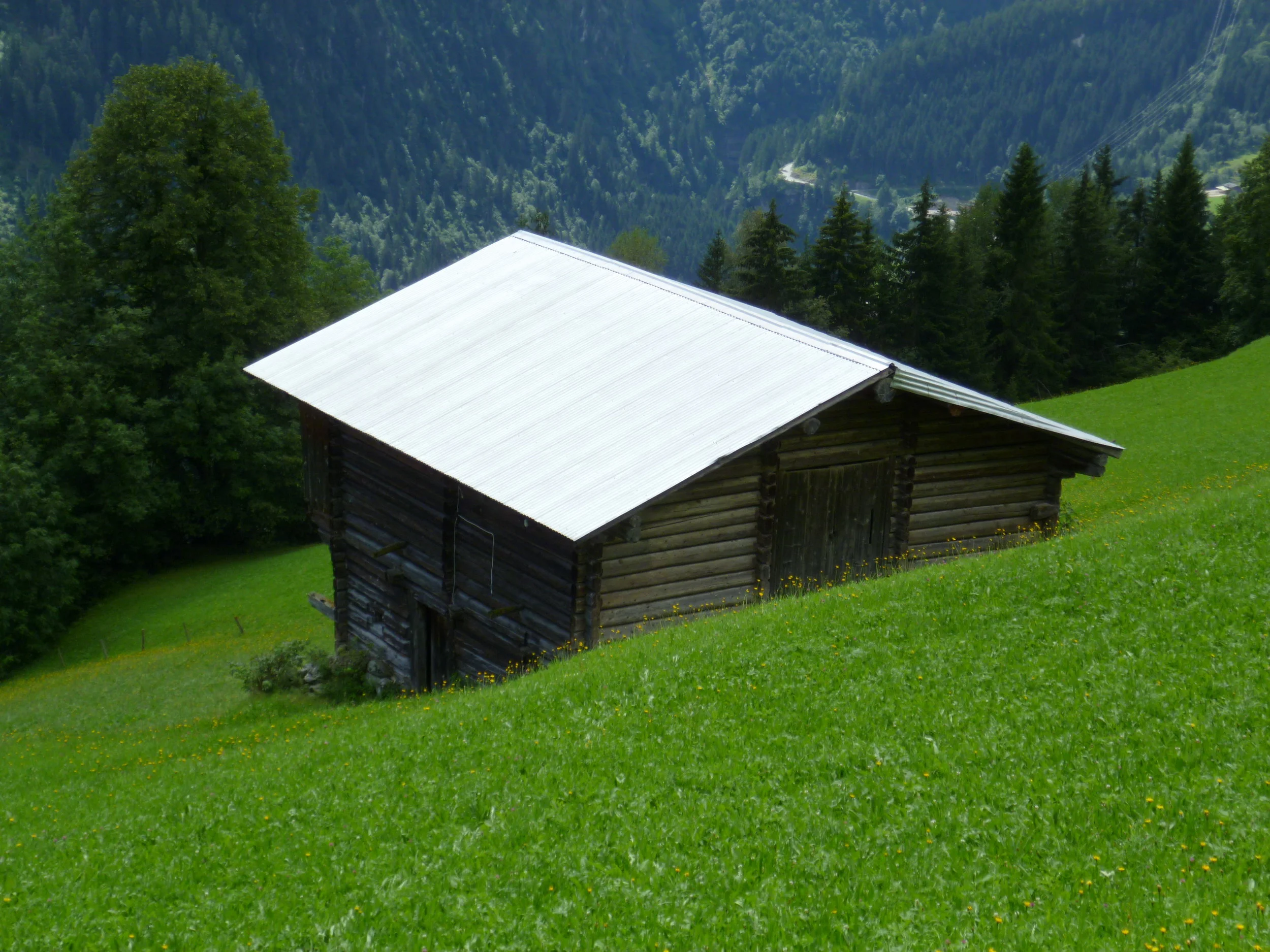 Green space