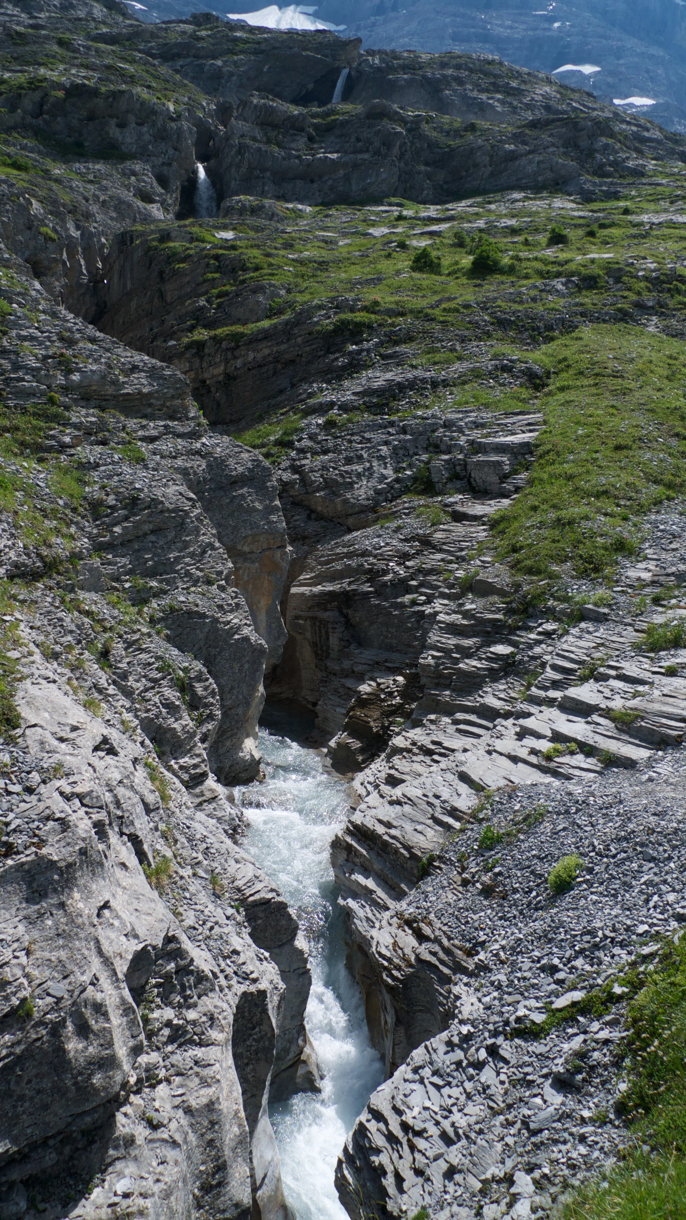 Dehydration can affect cognitive function 