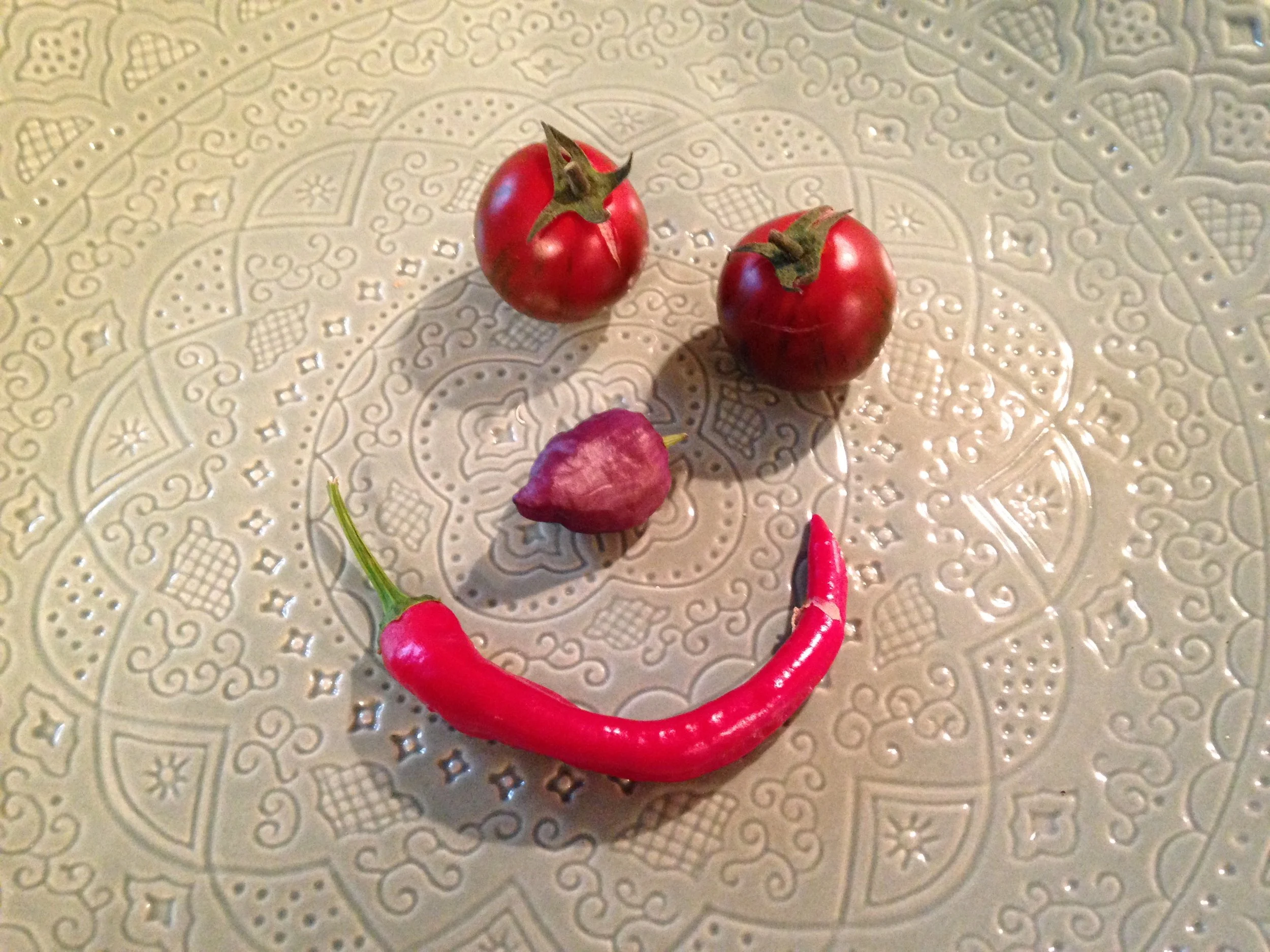 Medical trials begin to see if a whole-food plant-based diet can reverse type 2 diabetes 