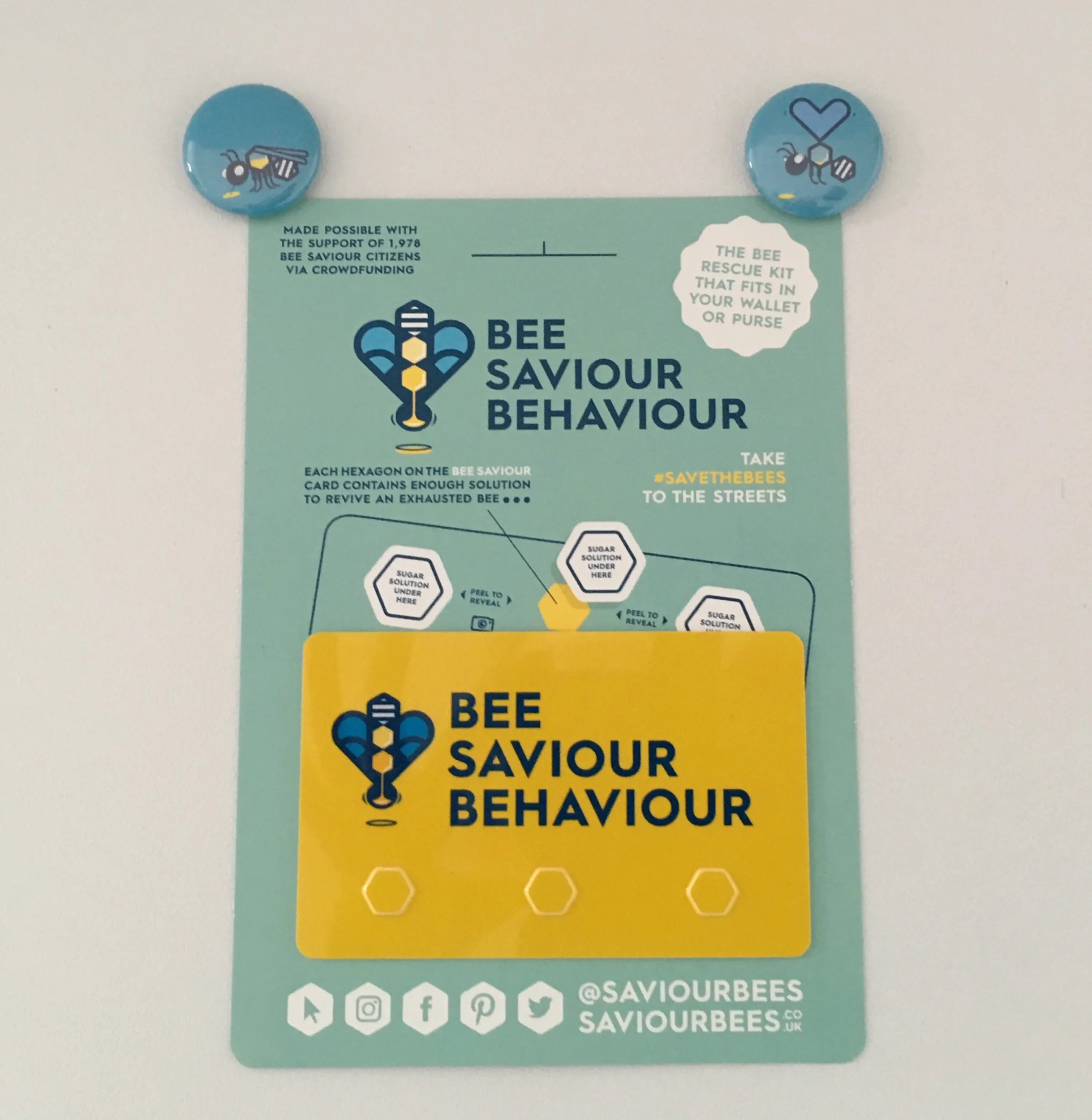 BEE SAVIOUR BEHAVIOUR