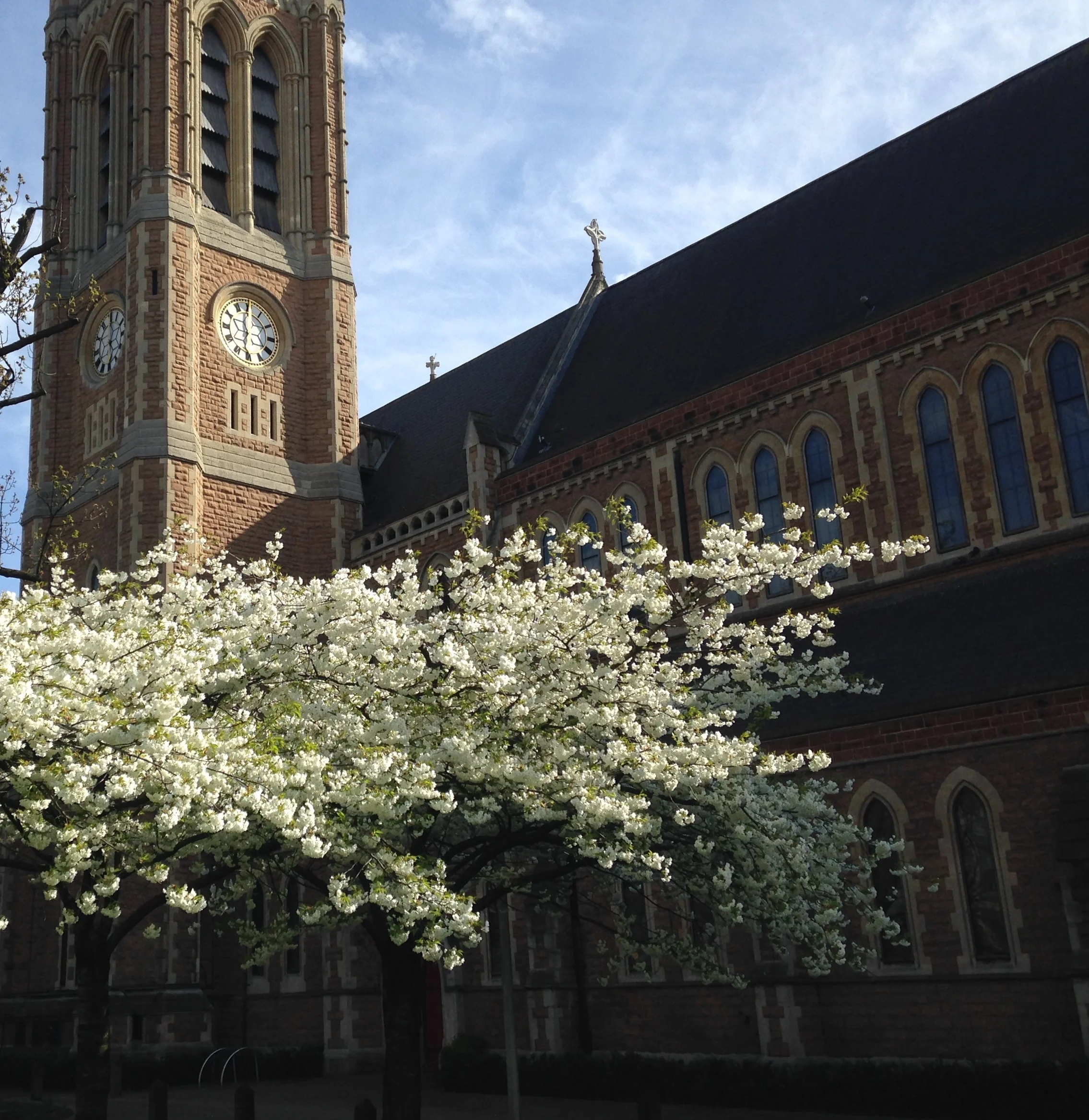 Cancer now the leading cause of death in higher income countries