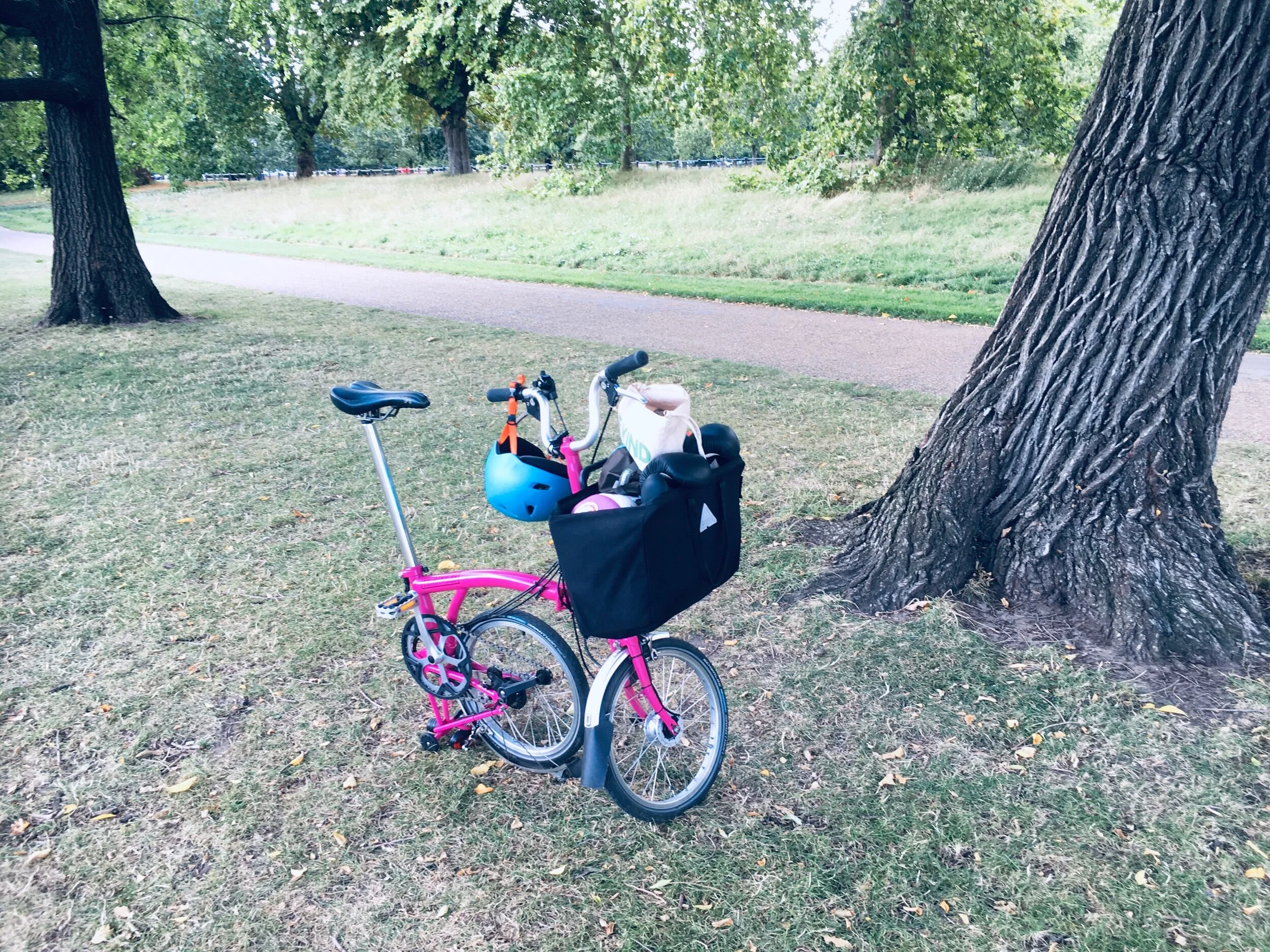 Highly active adults participate in multiple types of exercise