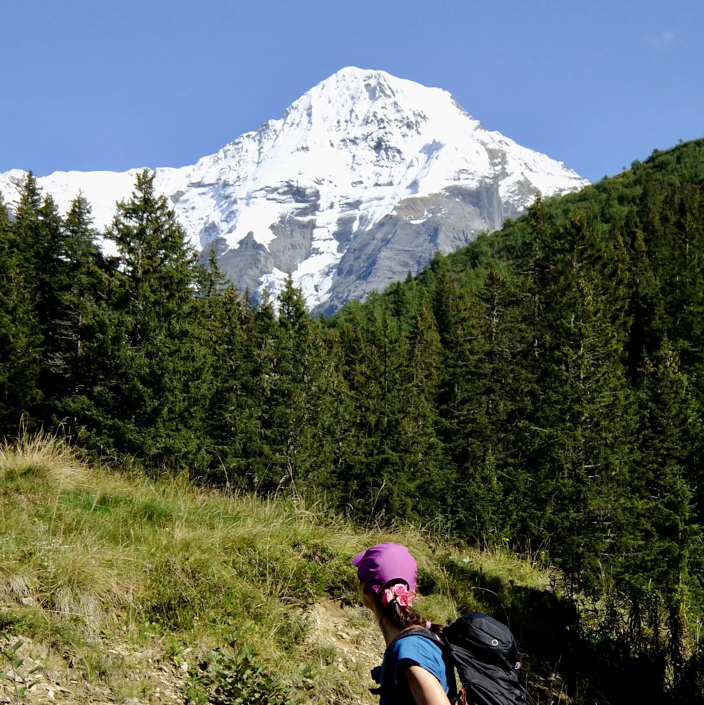 Post-menopause Vitamin D deficiency linked to disc degeneration and lower back pain