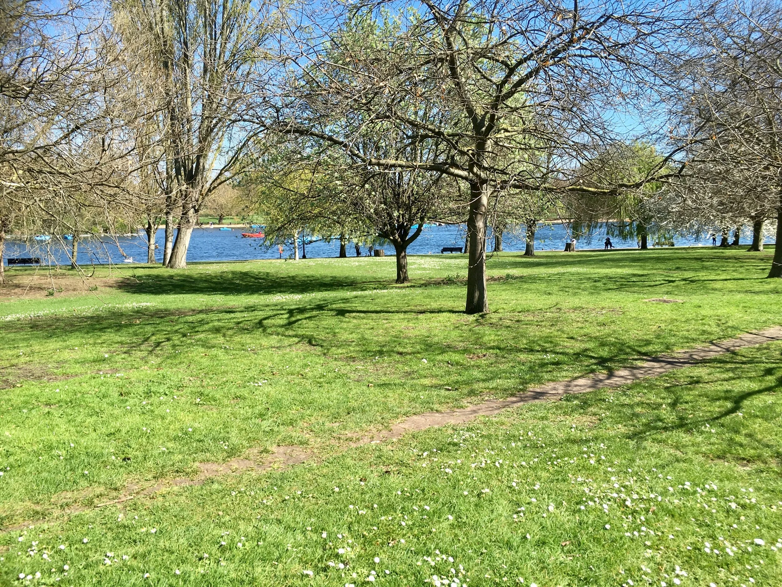 Living in a ‘walkable’ environment may be the key to longevity