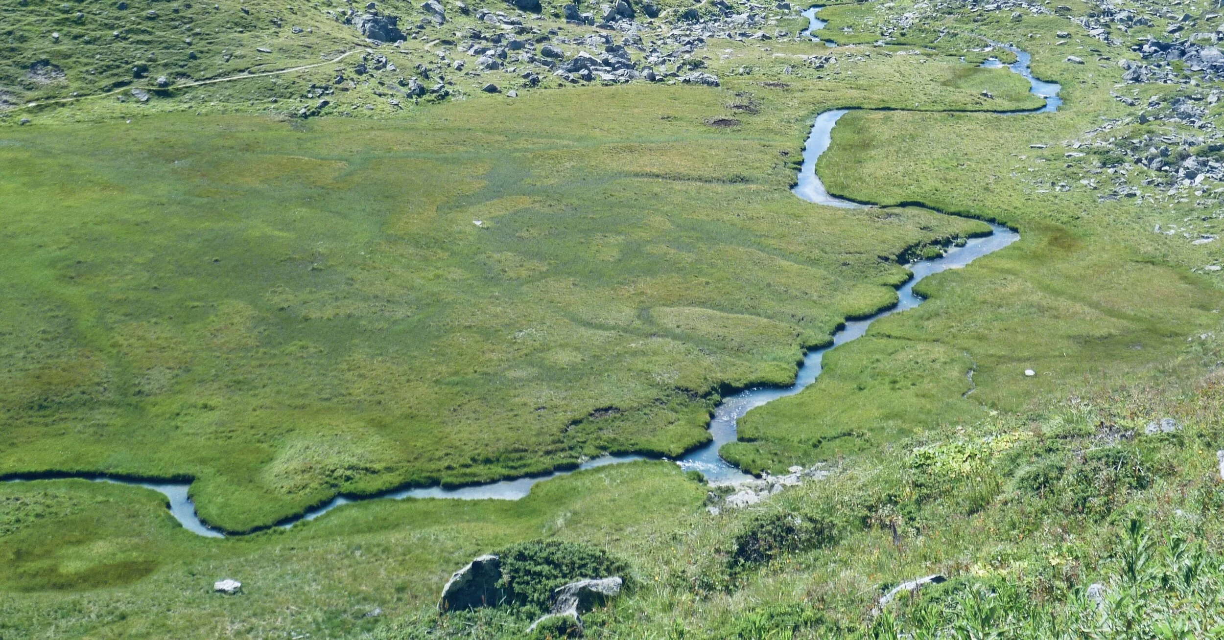 Being overweight or obese can cause decreased cerebral blood flow resulting in an increased risk of Alzheimer’s and other conditions