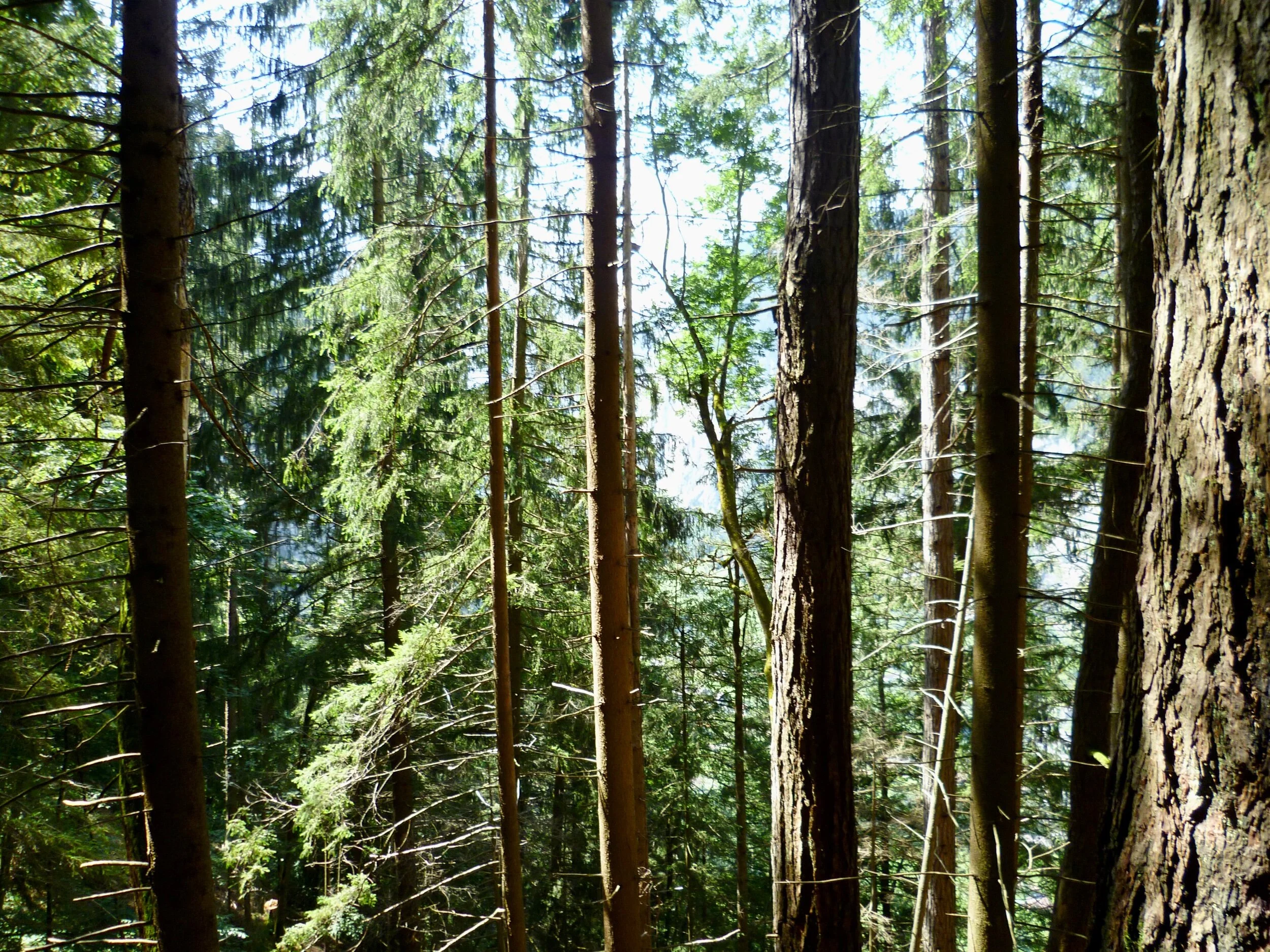 Protect nature by focusing on people