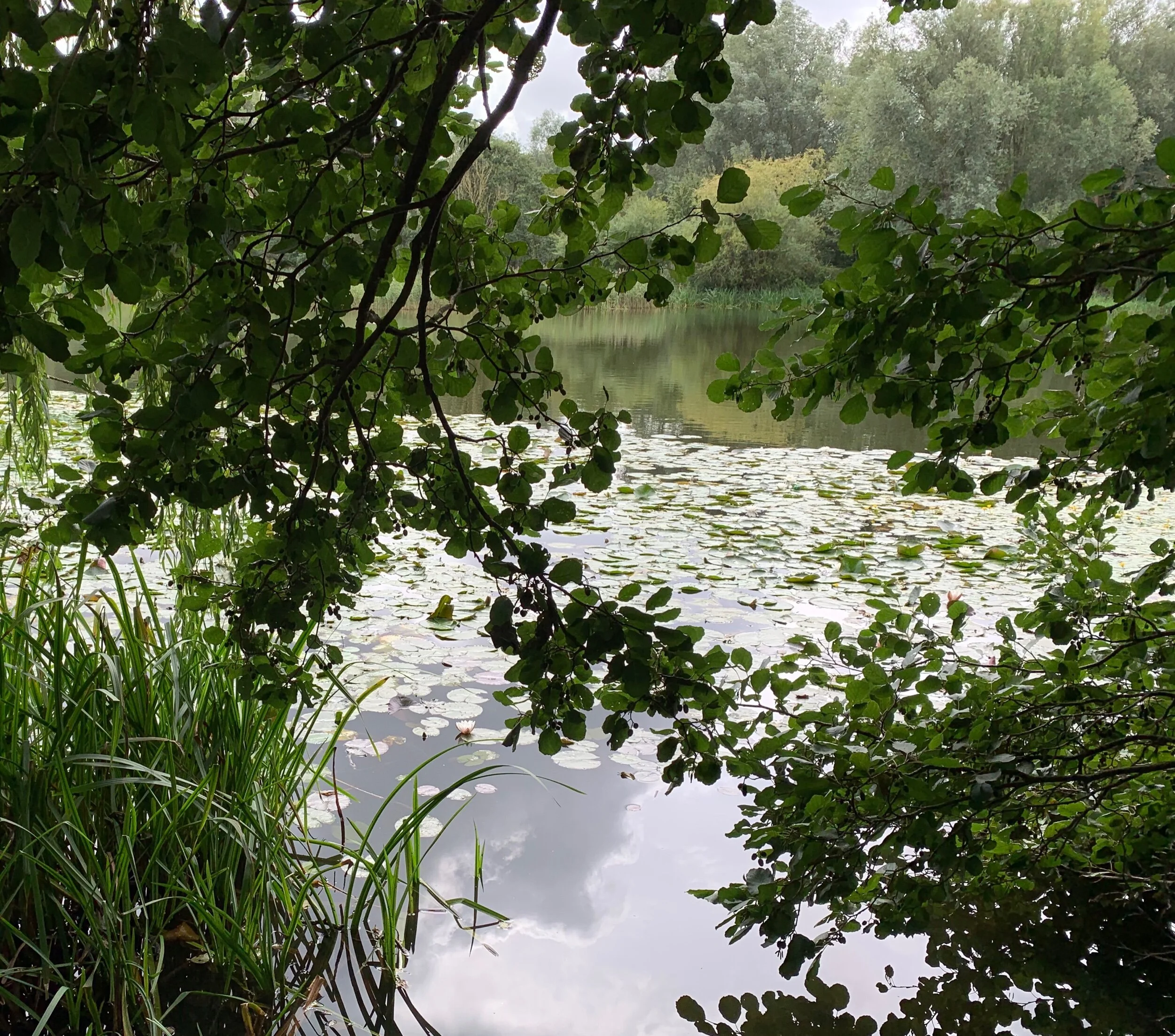 A guide to living well even with shorter days and longer nights