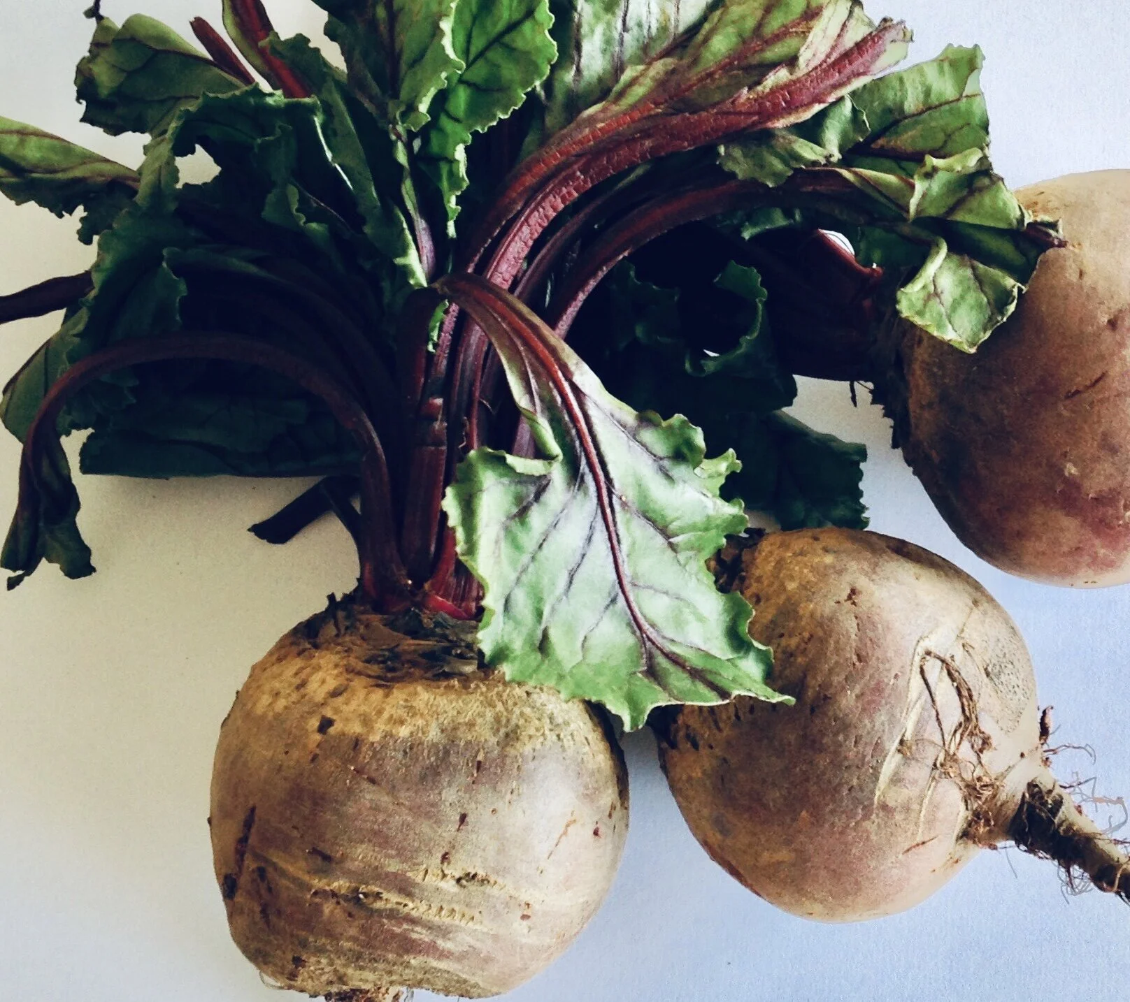 Peptide in beetroot could be developed into medicine to treat inflammatory diseases