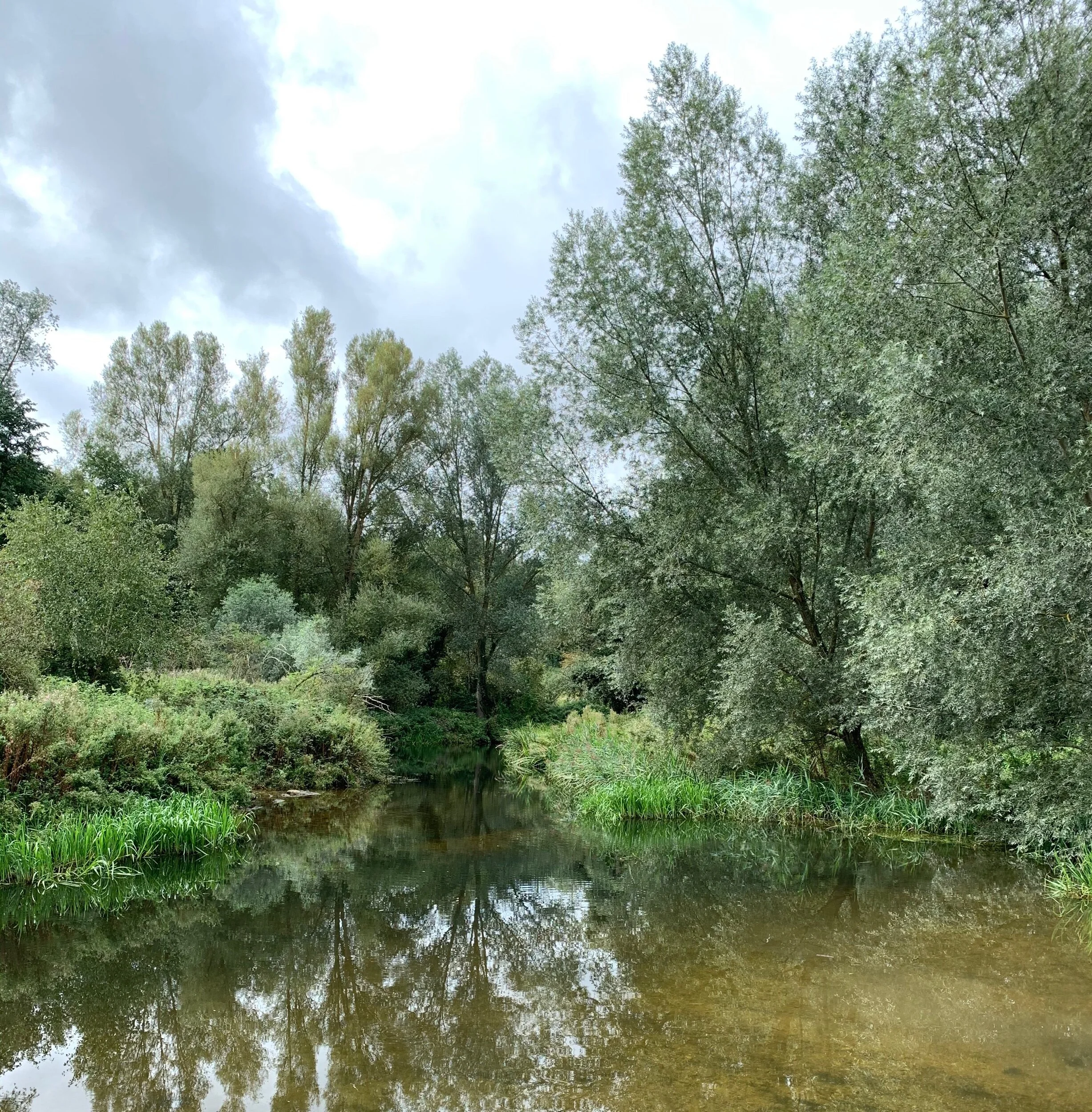 Walking in greenspace linked to a higher ‘sense of coherence’ resulting in increased stress coping abilities