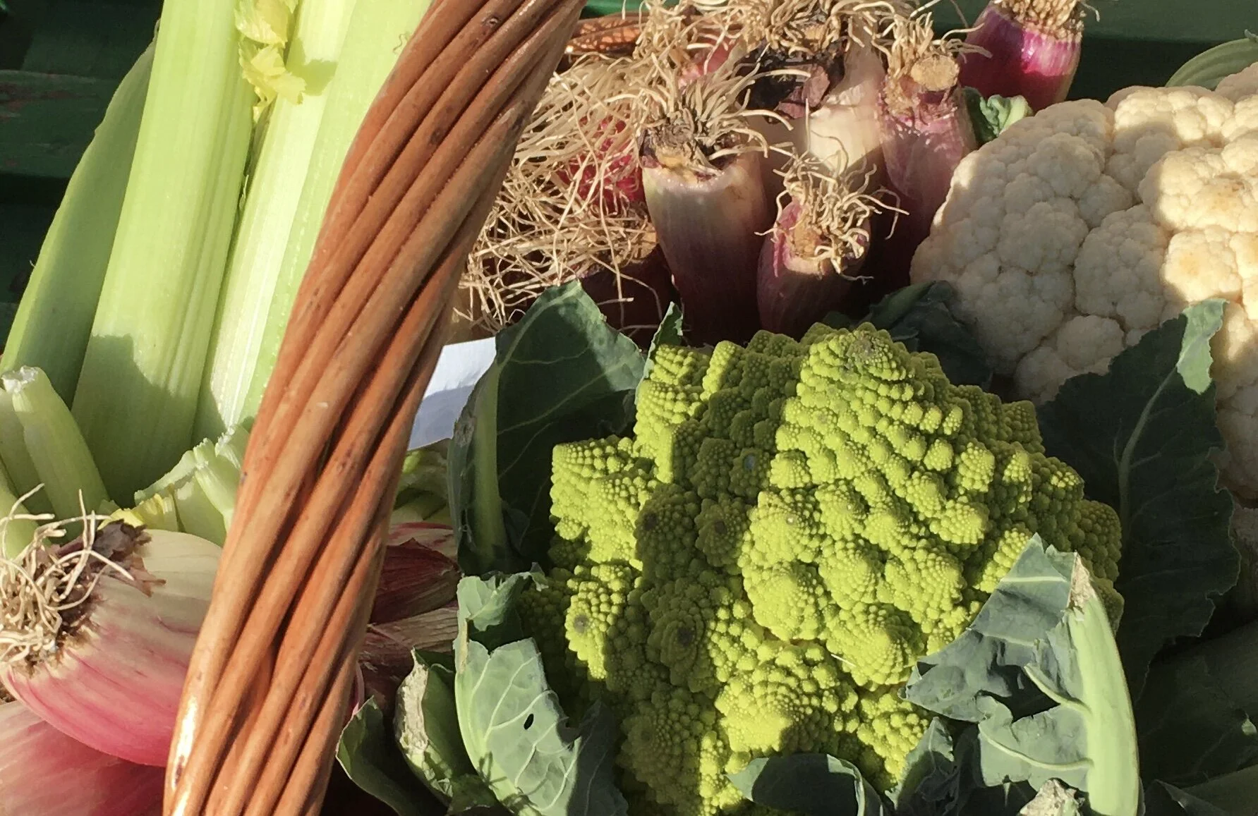 Children eat more vegetables with school gardens and lessons in cooking and nutrition