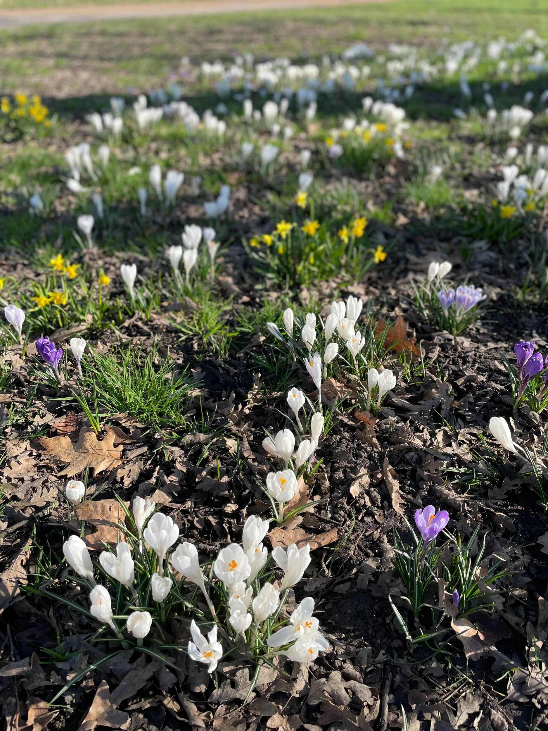 Thriving with Nature