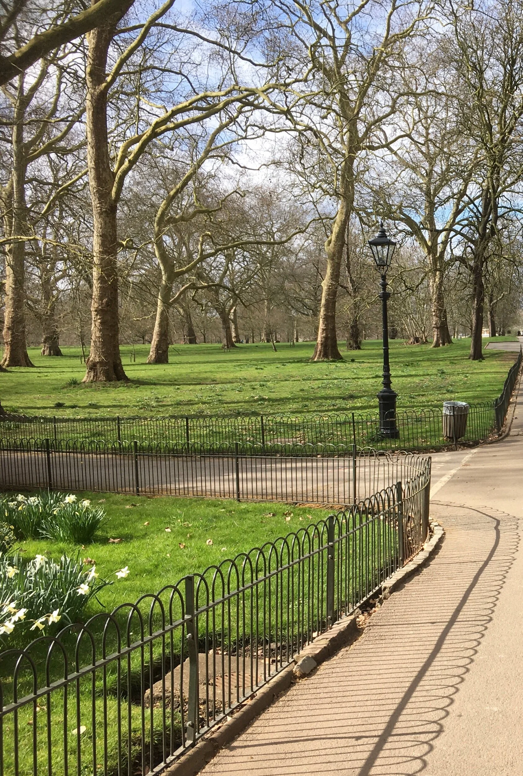 Less greenspace around homes may be linked to an increased risk of ADHD