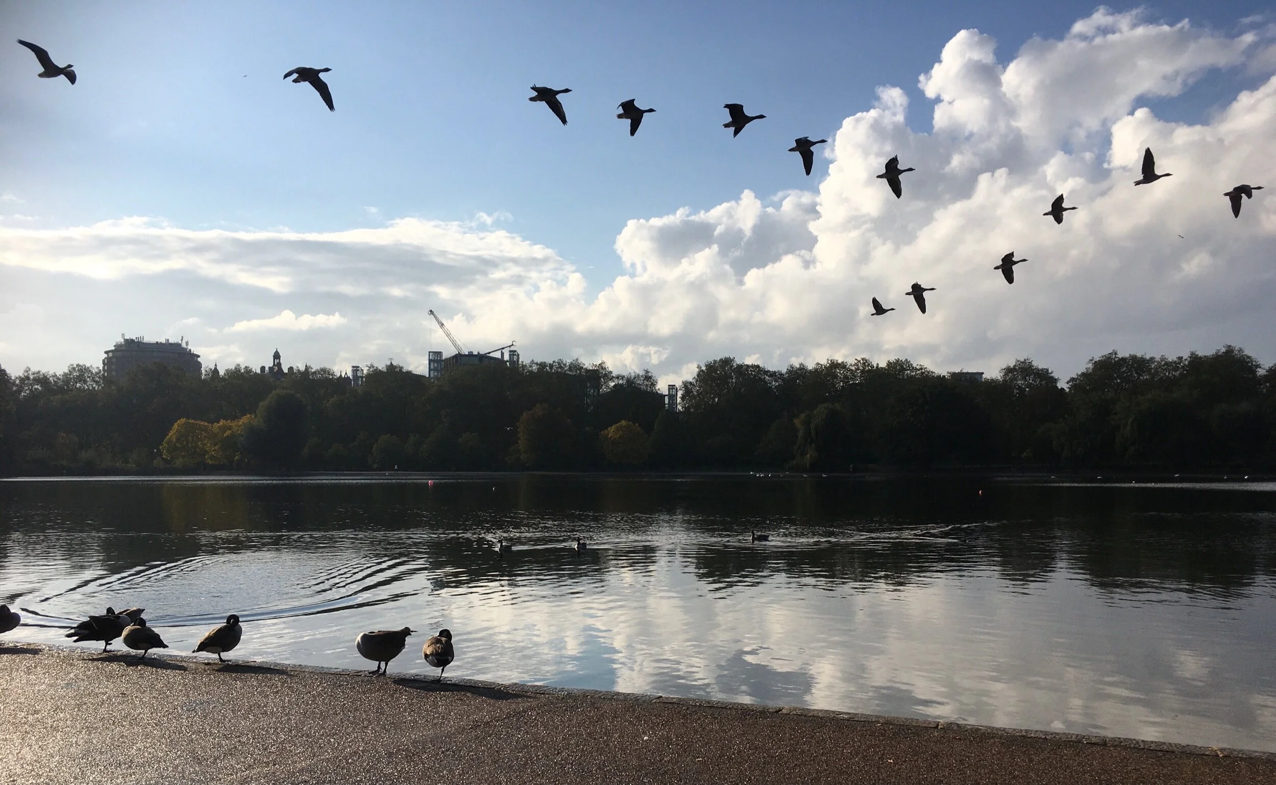 Nature-based solutions for cities benefit health and economics