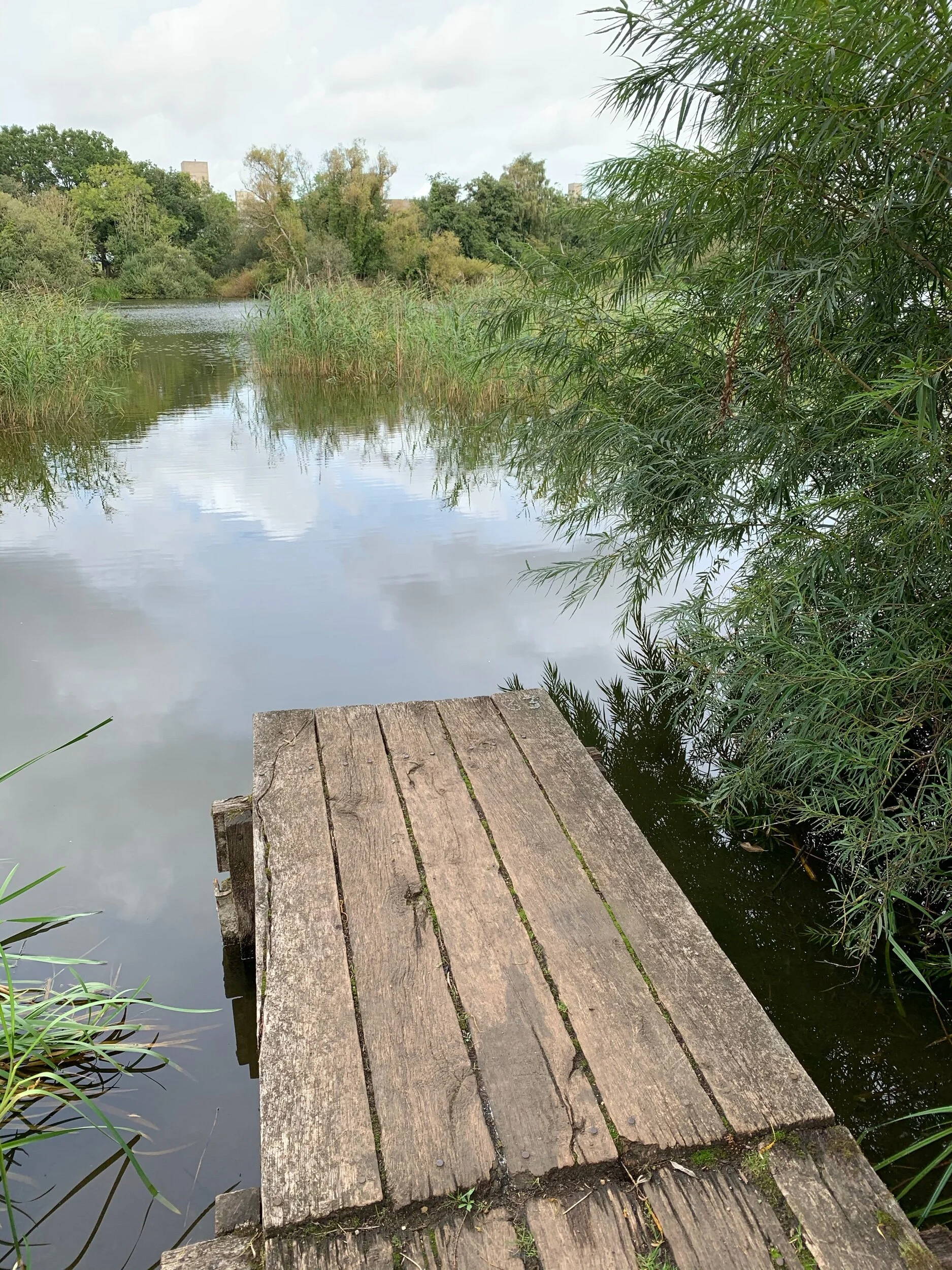 Large meta-analysis asks the question “What’s the best way to build personal wellbeing?”