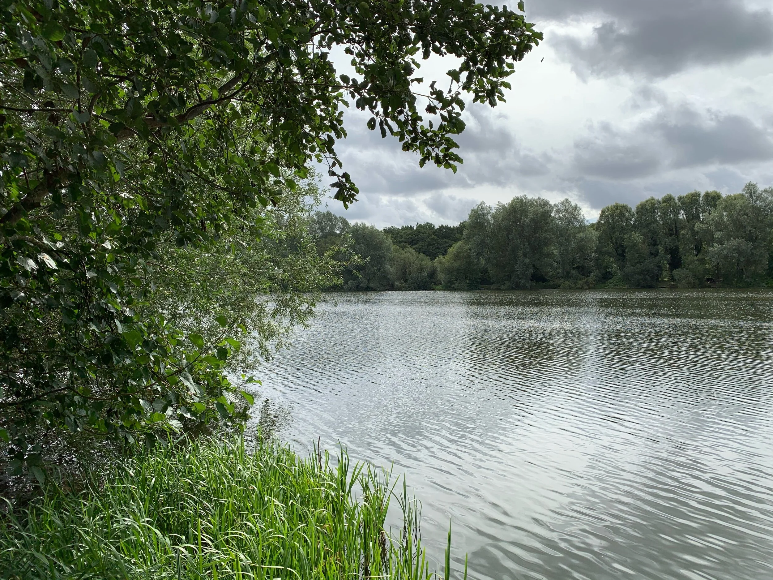 Nature-based activities lead to less anxiety, improved mood and increased  positive emotions